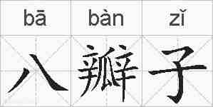 八瓣子的拼音