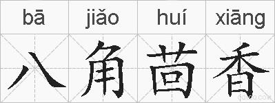 八角茴香的拼音