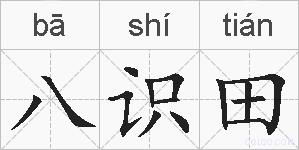 八识田的拼音