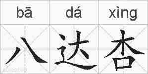 八达杏的拼音