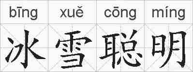 冰雪聪明的拼音