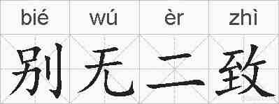 别无二致的拼音