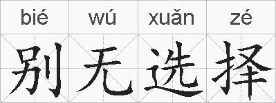 别无选择的拼音