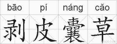 剥皮囊草的拼音
