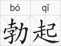 勃起的拼音