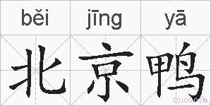 北京鸭的拼音