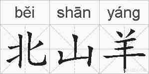 北山羊的拼音