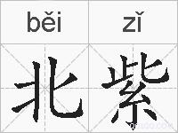北紫的拼音