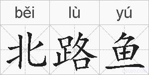 北路鱼的拼音