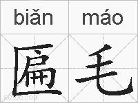 匾毛的拼音