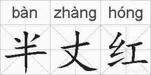 半丈红的拼音