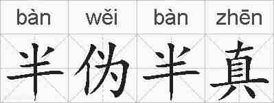 半伪半真的拼音