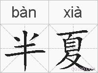 半夏的拼音