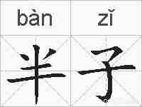 半子的拼音