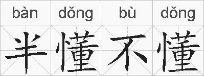 半懂不懂的拼音