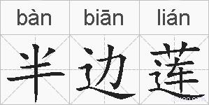 半边莲的拼音