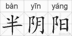 半阴阳的拼音