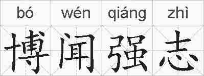 博闻强志的拼音