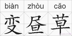 变昼草的拼音