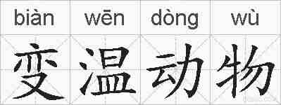 变温动物的拼音