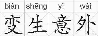 变生意外的拼音