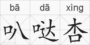 叭哒杏的拼音