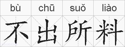 不出所料的拼音
