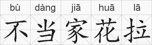 不当家花拉的拼音
