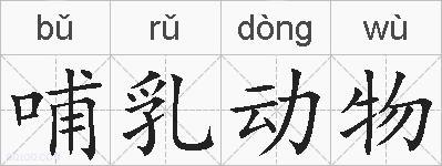 哺乳动物的拼音