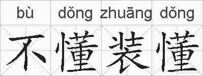 不懂装懂的拼音