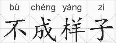 不成样子的拼音