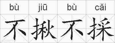 不揪不採的拼音