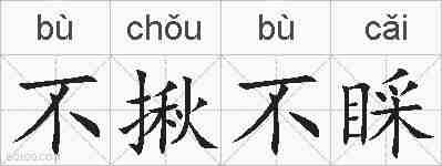 不揪不睬的拼音