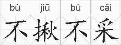 不揪不采的拼音