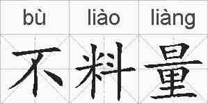 不料量的拼音