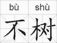 不树的拼音