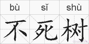 不死树的拼音