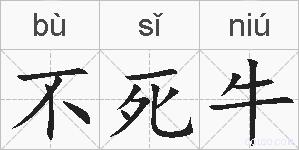 不死牛的拼音