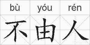 不由人的拼音