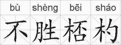 不胜桮杓的拼音