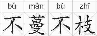 不蔓不枝的拼音