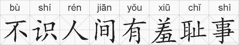 不识人间有羞耻事的拼音