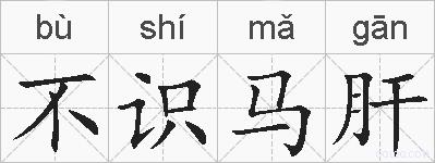 不识马肝的拼音