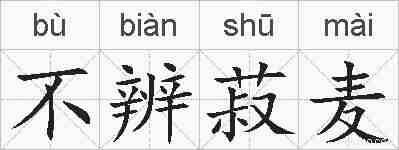不辨菽麦的拼音