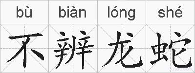 不辨龙蛇的拼音
