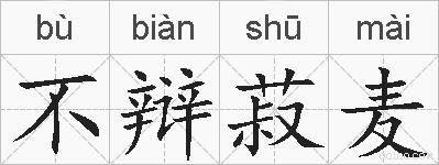 不辩菽麦的拼音