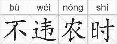 不违农时的拼音