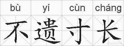 不遗寸长的拼音