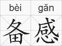 备感的拼音