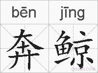 奔鲸的拼音